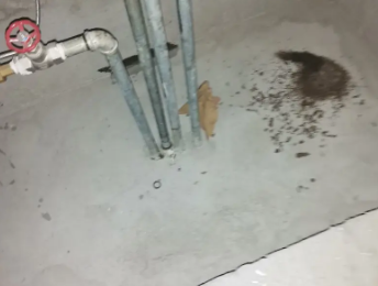 承德市卫生间测漏水价格明细